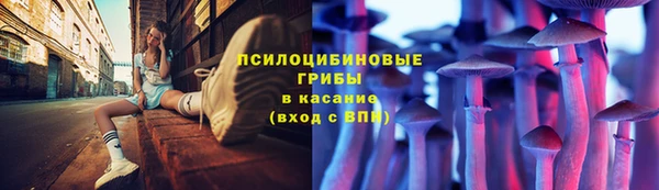 соль ск Бердск