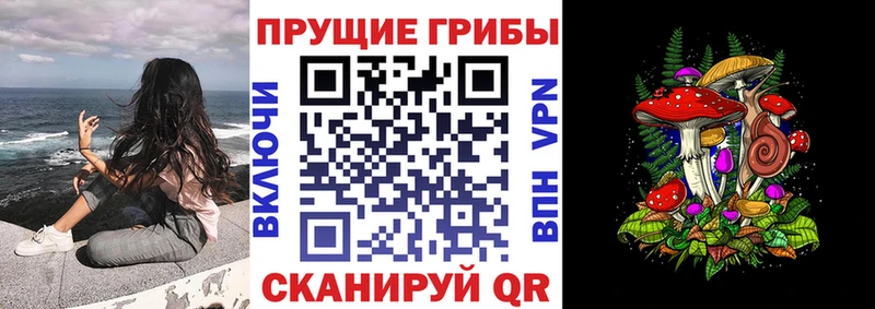 Псилоцибиновые грибы мицелий  где купить наркоту  Бикин 