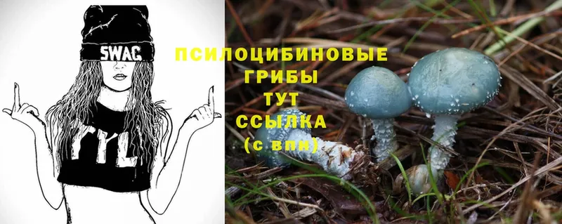 Псилоцибиновые грибы Magic Shrooms  купить   ОМГ ОМГ как зайти  Бикин 